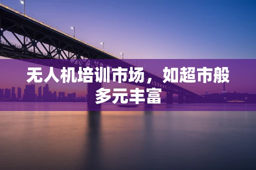 无人机培训市场，如超市般多元丰富