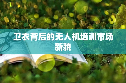 卫衣背后的无人机培训市场新貌
