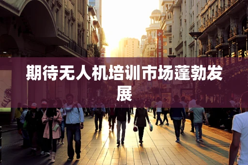 期待无人机培训市场蓬勃发展