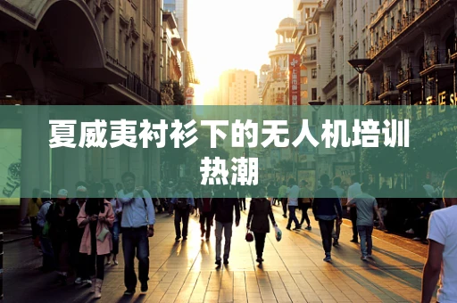 夏威夷衬衫下的无人机培训热潮