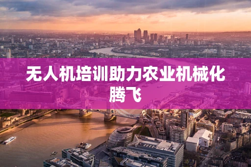 无人机培训助力农业机械化腾飞