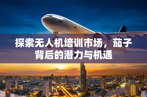 探索无人机培训市场，茄子背后的潜力与机遇