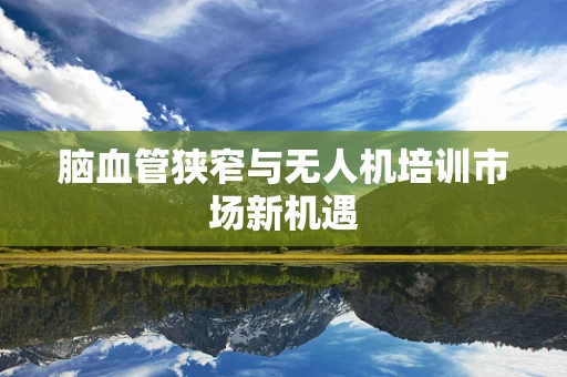 脑血管狭窄与无人机培训市场新机遇