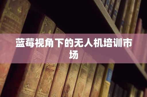 蓝莓视角下的无人机培训市场