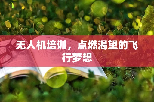 无人机培训，点燃渴望的飞行梦想