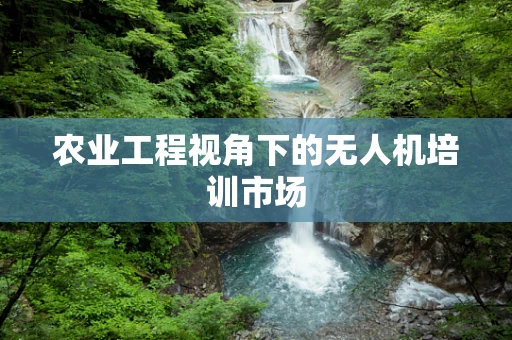 农业工程视角下的无人机培训市场