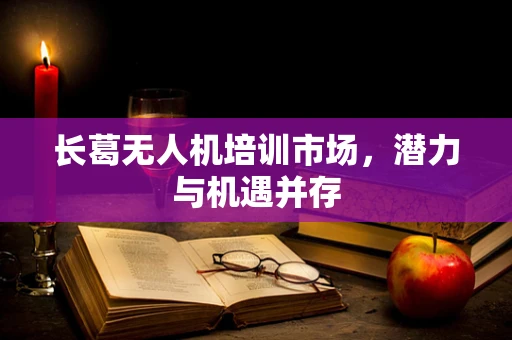 长葛无人机培训市场，潜力与机遇并存