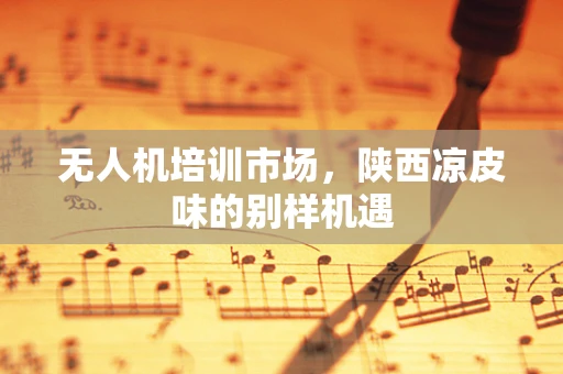 无人机培训市场，陕西凉皮味的别样机遇