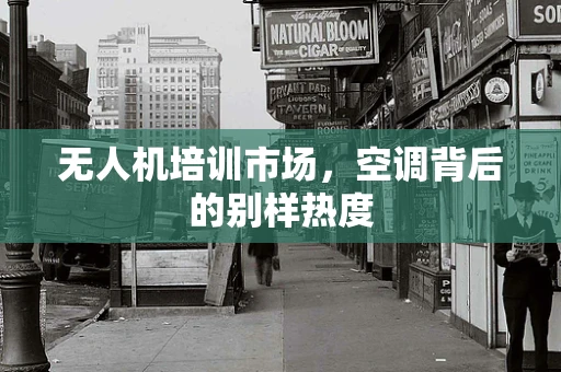 无人机培训市场，空调背后的别样热度