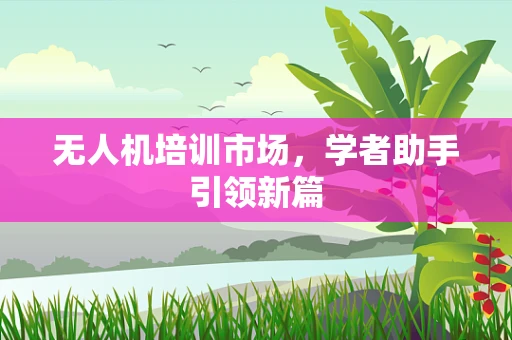无人机培训市场，学者助手引领新篇
