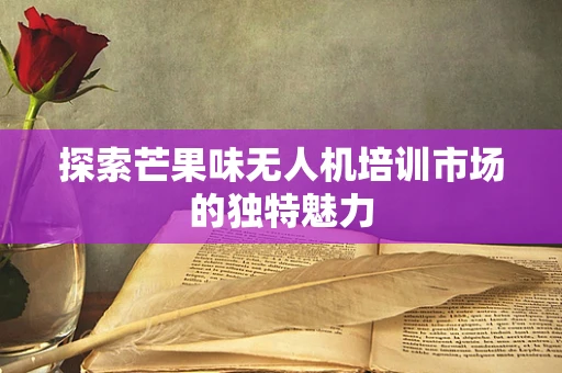 探索芒果味无人机培训市场的独特魅力