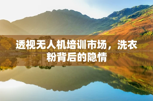 透视无人机培训市场，洗衣粉背后的隐情