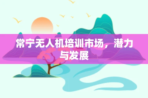 常宁无人机培训市场，潜力与发展