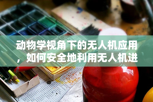 动物学视角下的无人机应用，如何安全地利用无人机进行野生动物监测？