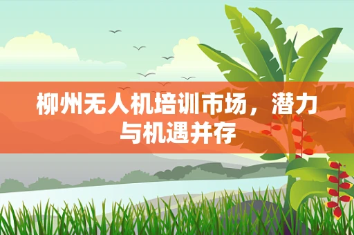 柳州无人机培训市场，潜力与机遇并存