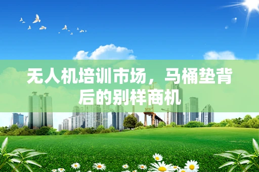 无人机培训市场，马桶垫背后的别样商机