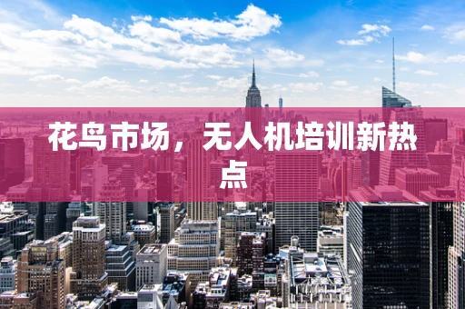花鸟市场，无人机培训新热点