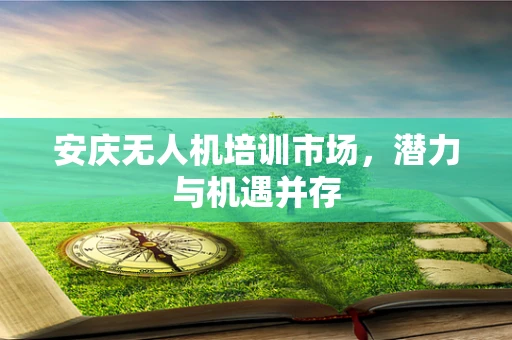 安庆无人机培训市场，潜力与机遇并存
