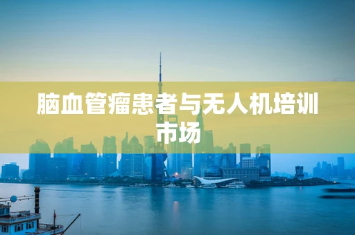脑血管瘤患者与无人机培训市场