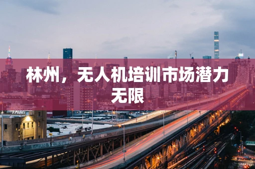 林州，无人机培训市场潜力无限