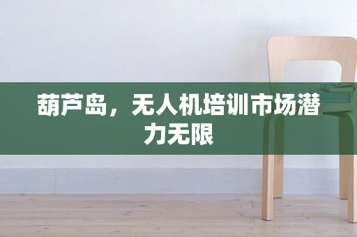 葫芦岛，无人机培训市场潜力无限