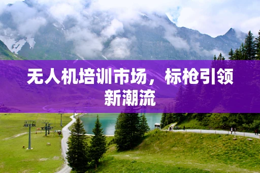 无人机培训市场，标枪引领新潮流