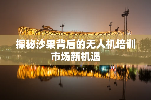 探秘沙果背后的无人机培训市场新机遇