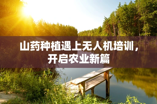 山药种植遇上无人机培训，开启农业新篇