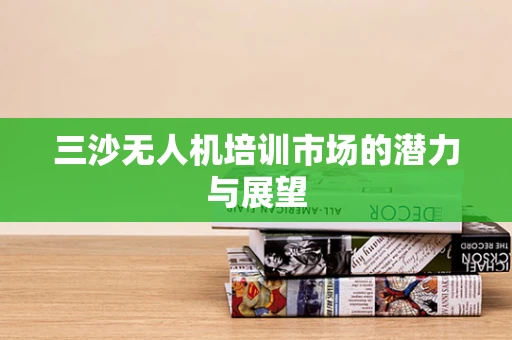 三沙无人机培训市场的潜力与展望