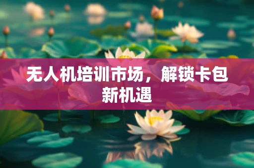 无人机培训市场，解锁卡包新机遇