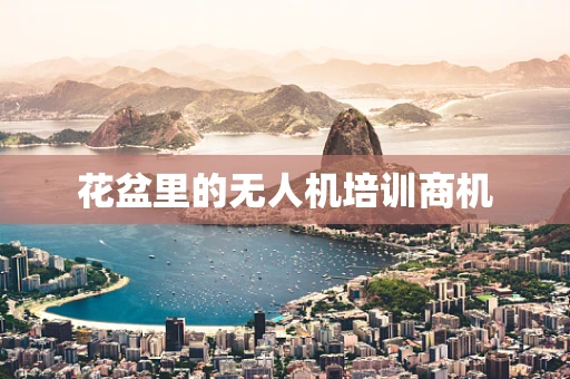 花盆里的无人机培训商机