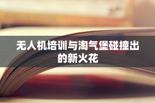 无人机培训与淘气堡碰撞出的新火花