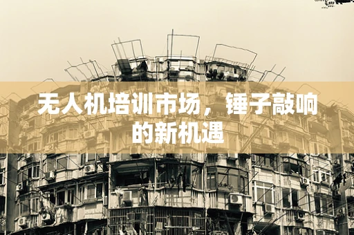 无人机培训市场，锤子敲响的新机遇