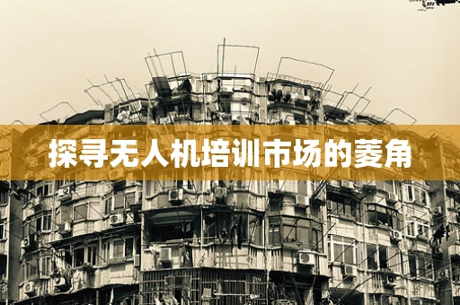 探寻无人机培训市场的菱角