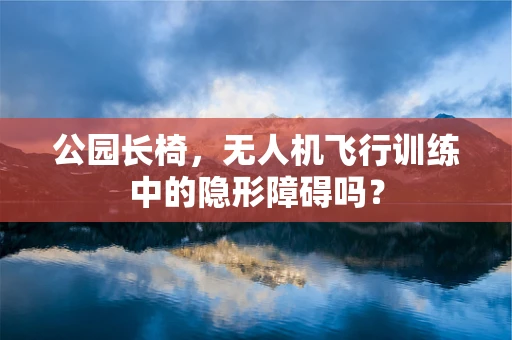 公园长椅，无人机飞行训练中的隐形障碍吗？