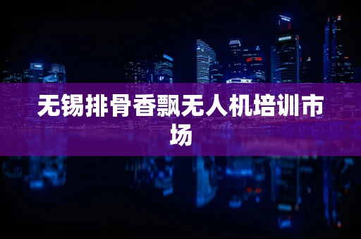 无锡排骨香飘无人机培训市场
