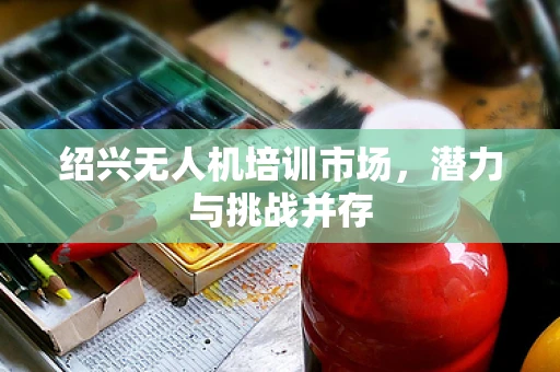 绍兴无人机培训市场，潜力与挑战并存