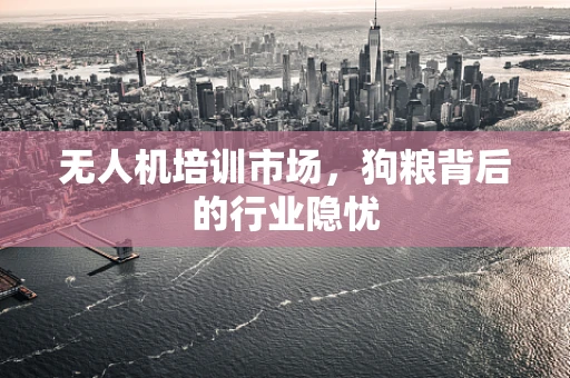 无人机培训市场，狗粮背后的行业隐忧
