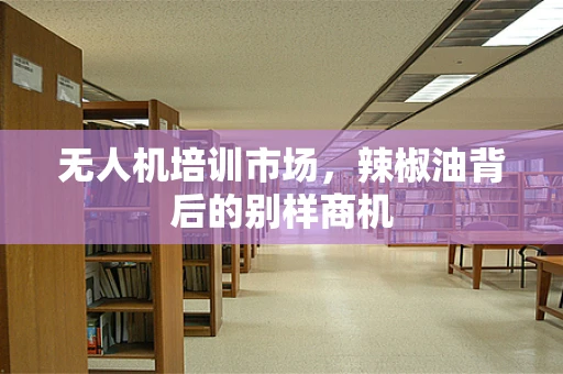 无人机培训市场，辣椒油背后的别样商机