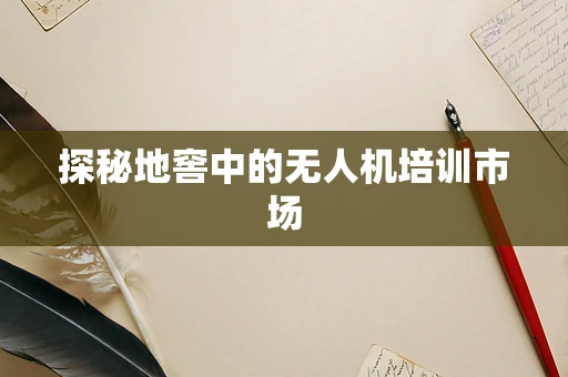 探秘地窖中的无人机培训市场
