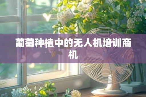葡萄种植中的无人机培训商机