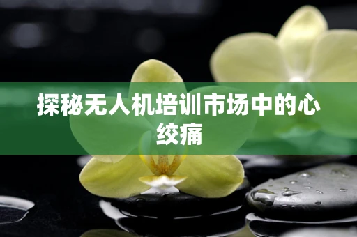 探秘无人机培训市场中的心绞痛