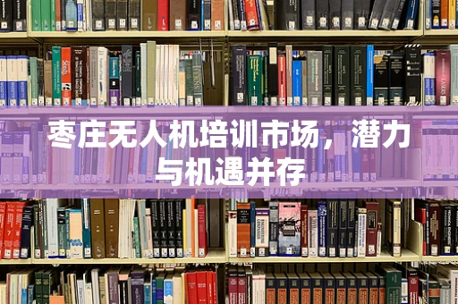 枣庄无人机培训市场，潜力与机遇并存