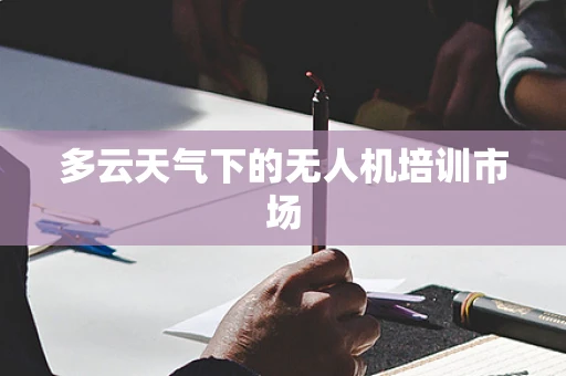 多云天气下的无人机培训市场