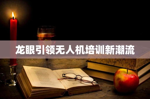 龙眼引领无人机培训新潮流