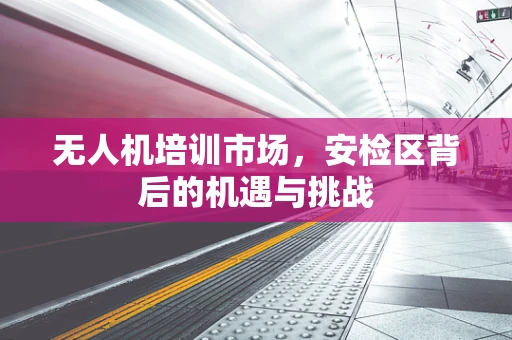 无人机培训市场，安检区背后的机遇与挑战