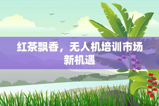红茶飘香，无人机培训市场新机遇