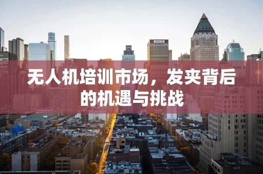 无人机培训市场，发夹背后的机遇与挑战