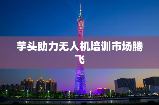 芋头助力无人机培训市场腾飞