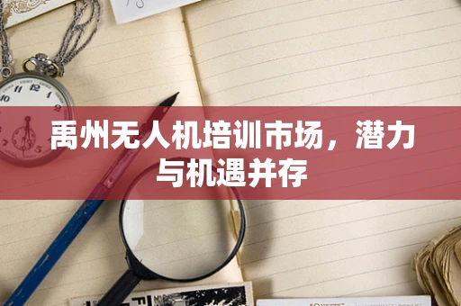 禹州无人机培训市场，潜力与机遇并存